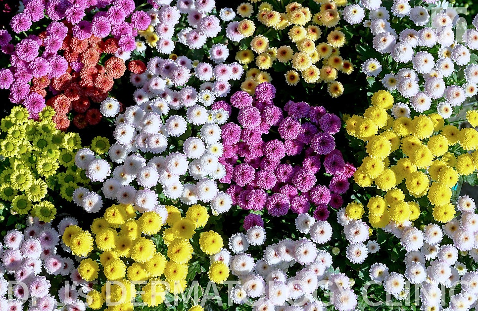 넓은 모공 작별 인사하기: 모공 축소를 위한 피부과 전문 진료 관련 이미지 2