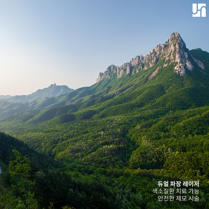 제모와 색소질환치료에 효과적인 클라리티 레이저 관련 이미지 2