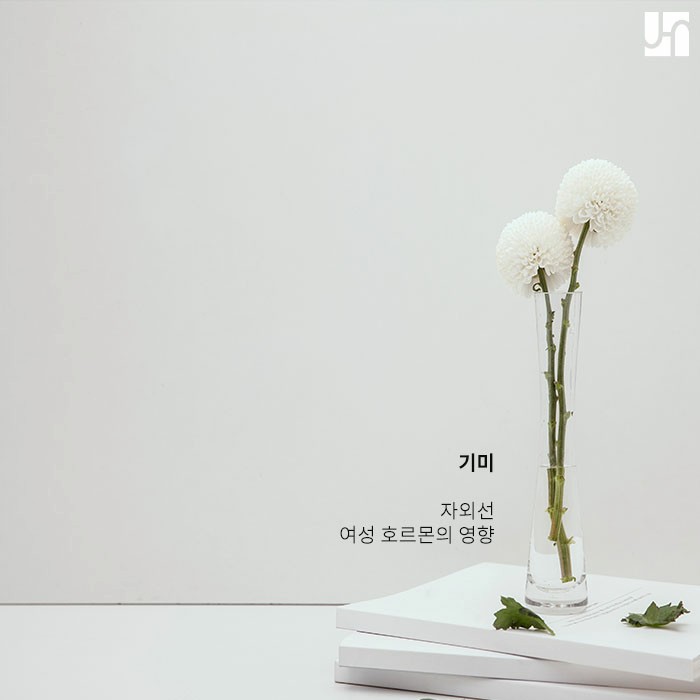 기미 &middot; 주근깨 같은 듯 다른 원인과 원인&치료 :: 방배동 피부과 관련 이미지 3