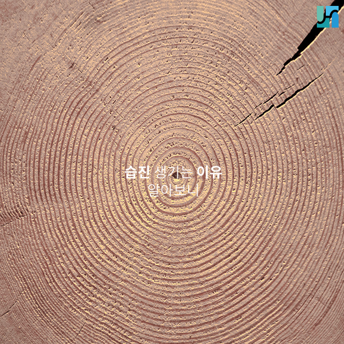 서초역피부과, 습진 생기는 이유 알아보니 관련 이미지 1