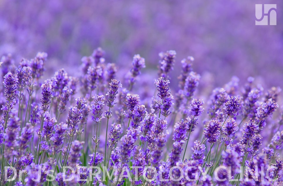 환절기 칸디다증 증상 조심, 올바른 치료법은? 관련 이미지 6