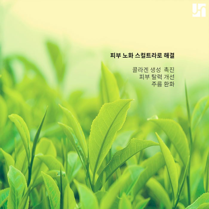 부작용 결절 없이 안전하고 효과적인 스컬트라 시술을 받고 싶다면 관련 이미지 2