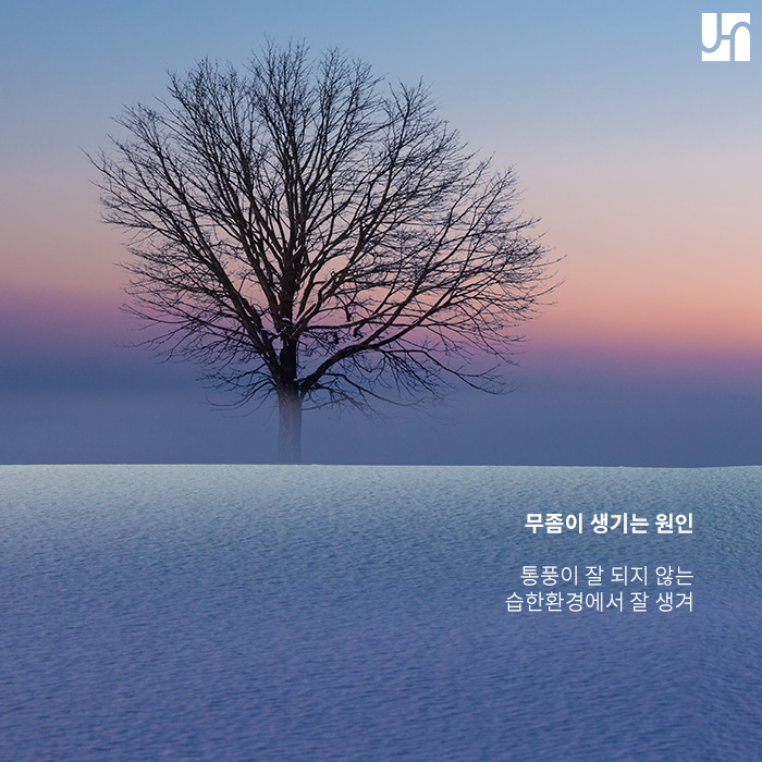 핀포인트 레이저로 편리하고 경제적인 손발톱 관리를! 관련 이미지 2