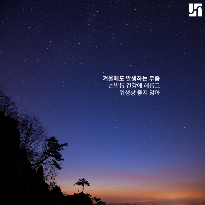 효과적이고 경제적인 무좀 치료, 핀포인트 레이저 관련 이미지 2