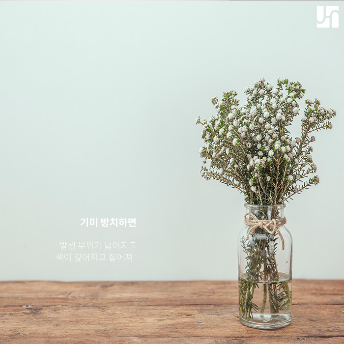 기미가 생기는 원인 자세히 알아보니 관련 이미지 3