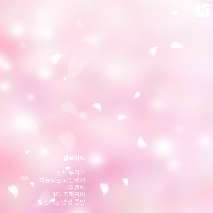 콜라겐이 과다 축적되는 켈로이드 체질이란? 관련 이미지 2