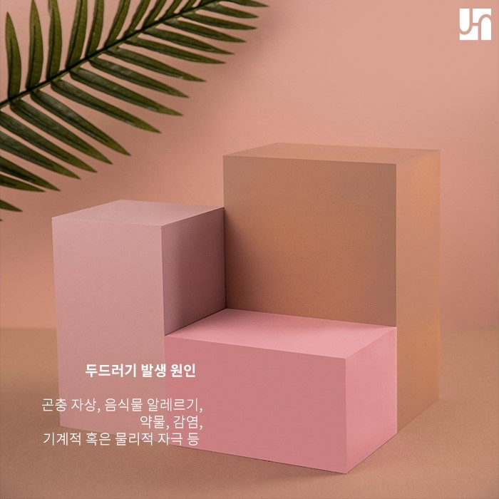 누구에게나 생길 수 있는 피부 두드러기 올바른 대처 방법은? 관련 이미지 2