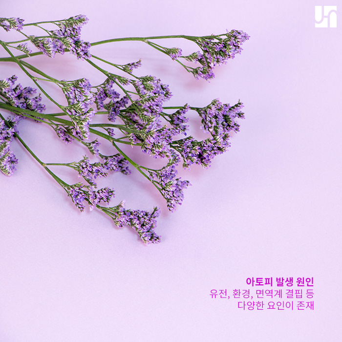 아토피 피부염 발생 원인과 대처법은? 관련 이미지 3