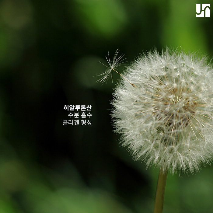 물광피부 만들어 주는 비탈 인젝터 관련 이미지 3