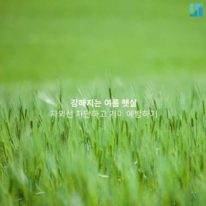 강해지는 여름 햇살, 똑똑하게 자외선 차단하고 기미 예방해요! 관련 이미지 1