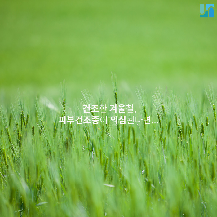 건조한 겨울철, 피부건조증이 의심된다면... 관련 이미지 1