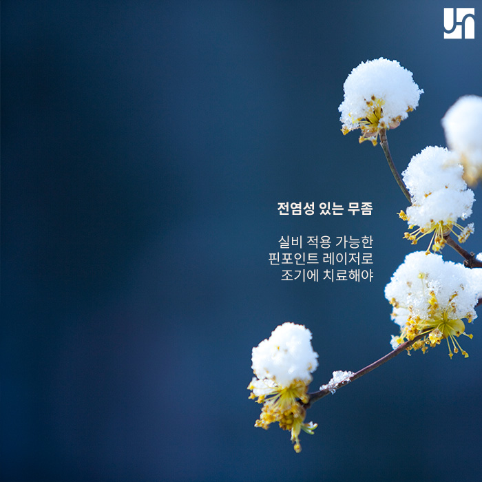 [방배역 피부과] 고민되는 무좀 치료엔 핀포인트 관련 이미지 4