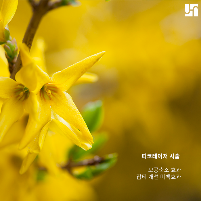 모공 케어가 필요한 경우, 더 늦기 전에 서두르세요. 관련 이미지 4