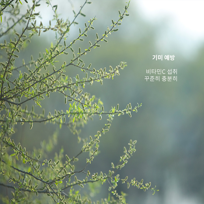 마크뷰를 통한 검버섯, 기미 조기치료가 가능한 곳 관련 이미지 3