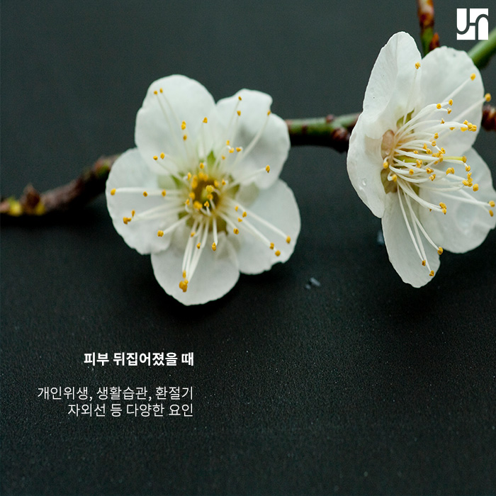 방배역 피부과, 피부 뒤집어졌을 때 피부과 가야 할까? 관련 이미지 2