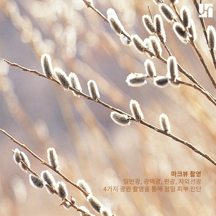 과학적인 피부 관리를 원한다면 마크뷰 피부 진단은 필수! 관련 이미지 3