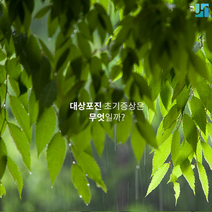 대상포진 초기증상은 무엇일까? 관련 이미지 1