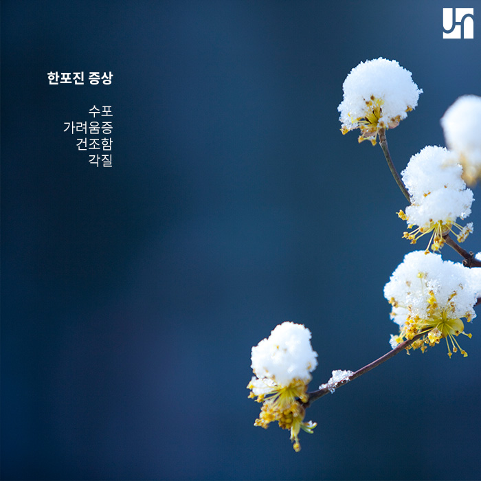 손발톱 건강 위협하는 한포진, 근본적인 치료법은? 관련 이미지 3