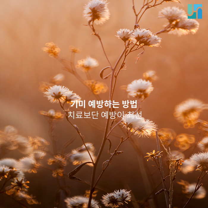 미리 알아두면 있으면 더 좋은 기미 예방법 관련 이미지 1