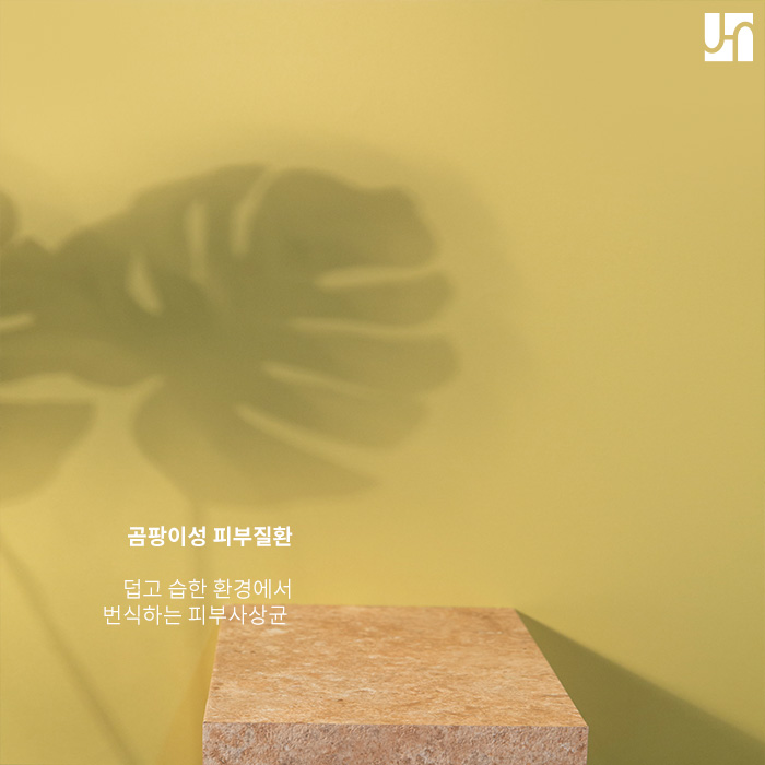 손발톱 무좀 치료는 핀포인트레이저로 말끔하게! 관련 이미지 2