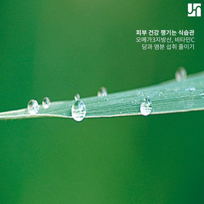 물광피부 만들어 주는 비탈 인젝터 관련 이미지 2