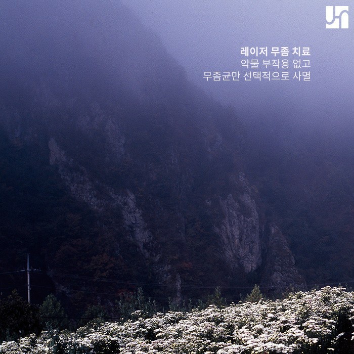 손발톱 무좀 발생 원인 알고 똑똑하게 치료하기! 관련 이미지 4