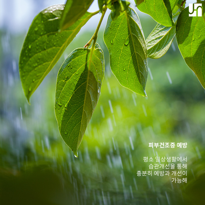 건조한 겨울철, 피부건조증이 의심된다면... 관련 이미지 4
