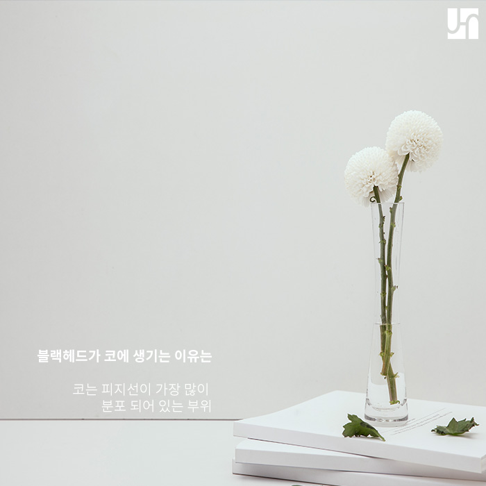 [방배역 피부과] 코에 생기기 쉬운 블랙헤드, 관리법 관련 이미지 2