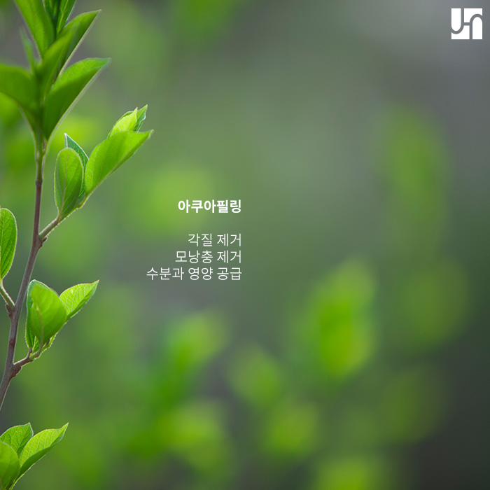 난치성&악성 여드름, 제대로 치료하고 싶다면 관련 이미지 3