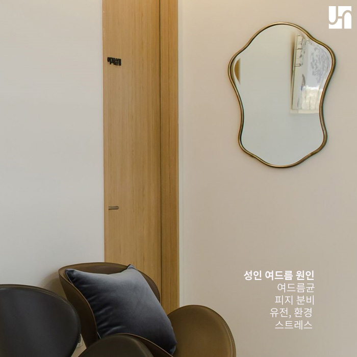 성인여드름, 이제는 이별하고 싶다면 관련 이미지 2