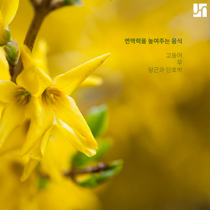 면역력 높이는 음식과 피부 재생에 좋은 음식 먹고 코로나19 이겨내자 :: 방배역전혜주피부과 관련 이미지 3