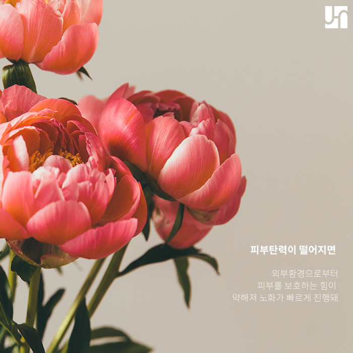 피부 탄력이 점점 감소하는 이유에 대해 관련 이미지 2