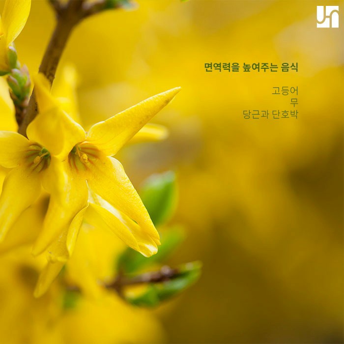 코로나 시대에 피부 재생과 면역력 증진을 위한 식습관과 생활 습관 관련 이미지 3