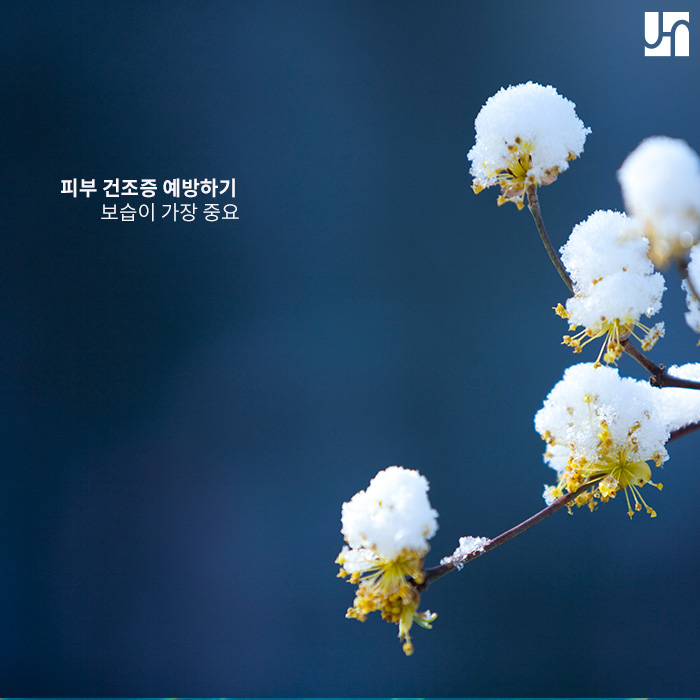 피부 건조증은 주름과 노화의 지름길, 꼭 예방하세요 관련 이미지 3