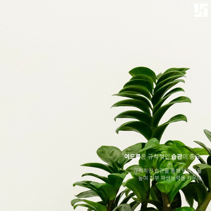 여드름 흉터 치료, 모양과 깊이 및 피부 상태에 따라 이루어져야 관련 이미지 5