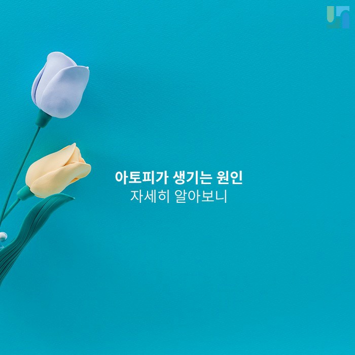 [방배역 피부과] 아토피가 생기는 원인 자세히 알아보니 관련 이미지 1