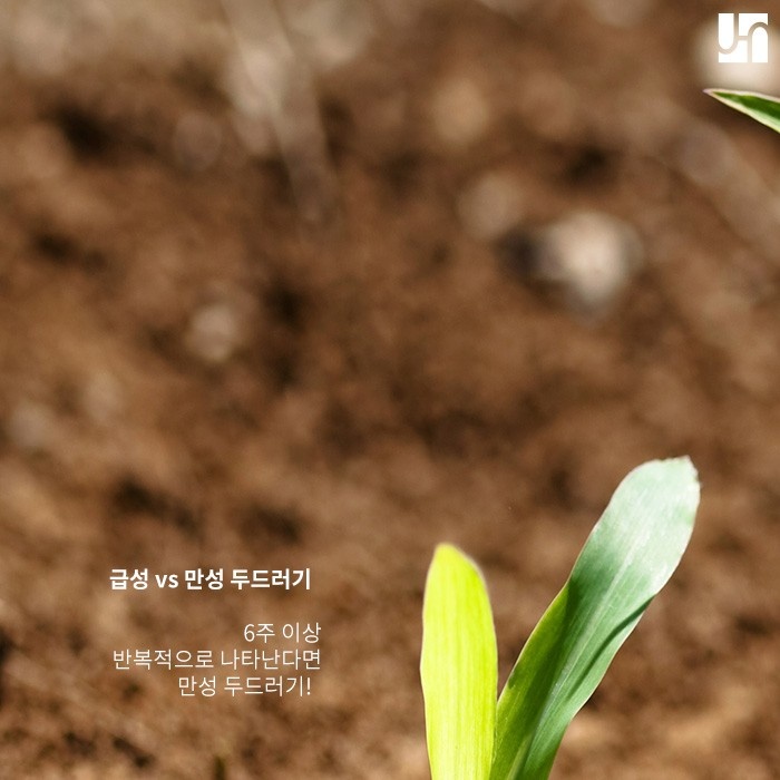 누구에게나 생길 수 있는 피부 두드러기 올바른 대처 방법은? 관련 이미지 3