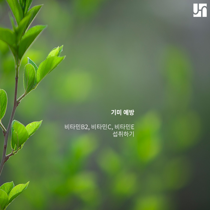 기미 레이저 치료, 성공하기 위해선 관련 이미지 3