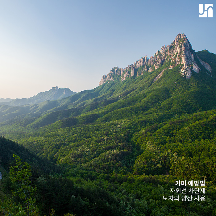 미리 알아두면 있으면 더 좋은 기미 예방법 관련 이미지 3
