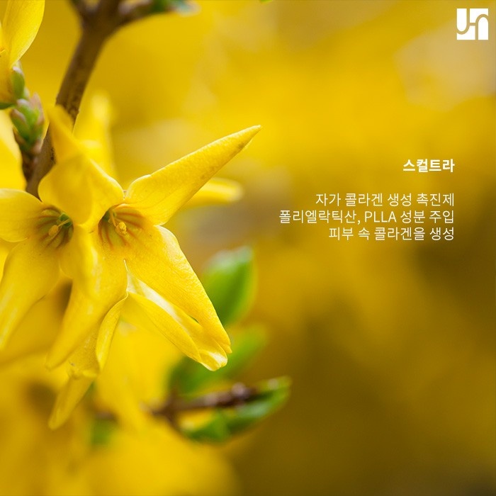 스컬트라 바이알 확인이 중요한 이유! 관련 이미지 2