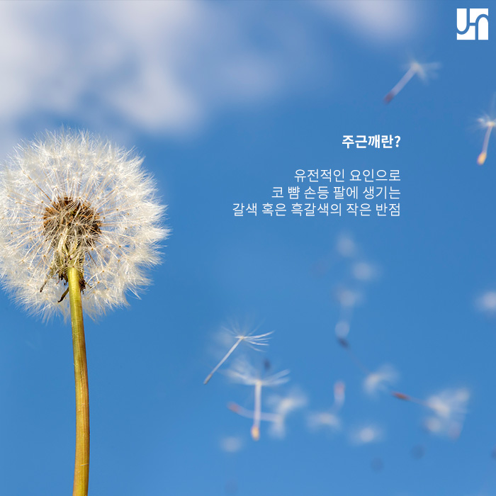 [방배동 피부과] 기미와 주근깨, 어떤 차이가 있나요? 관련 이미지 3