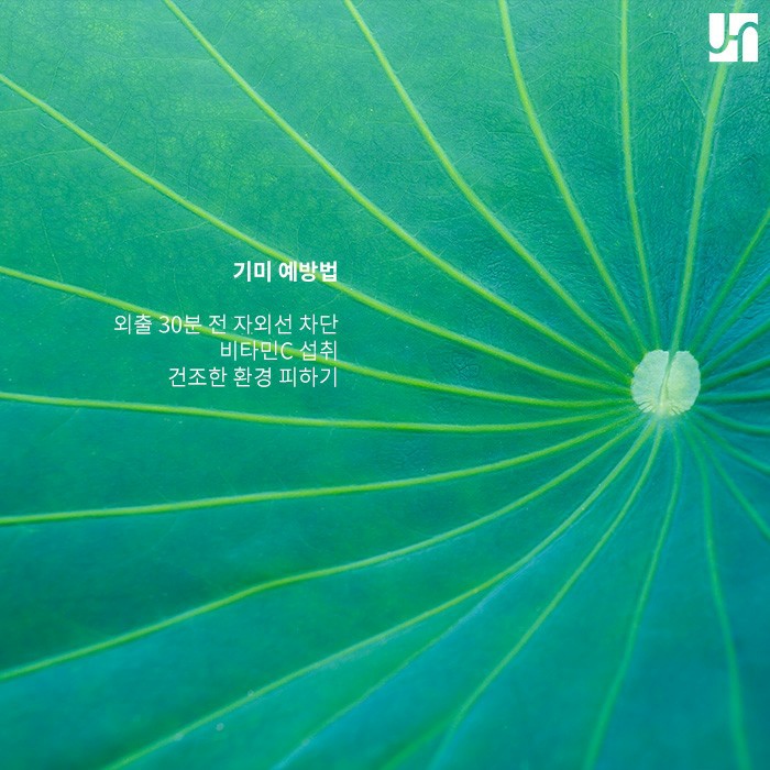 기미 발생 초기에 치료해야 효과 크게 볼 수 있어요! 관련 이미지 4