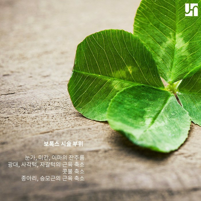 [서초동 피부과] 보톡스 시술 최대한 효과 보기 위해선 관련 이미지 3