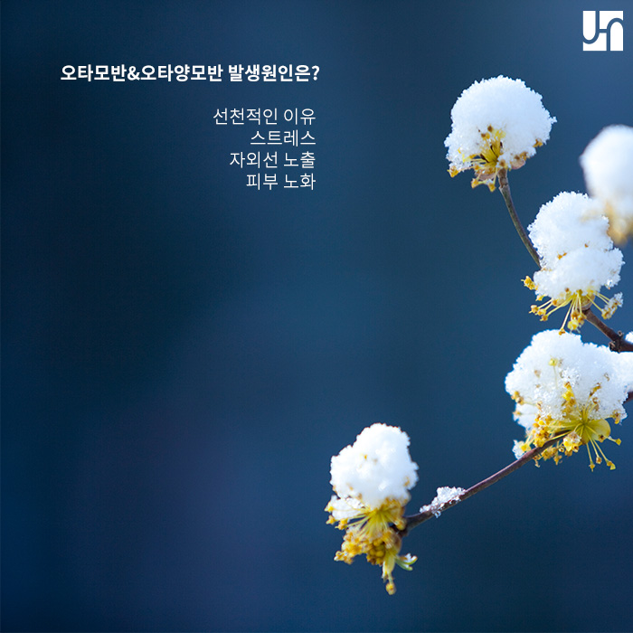 기미와 헷갈리기 쉬운 오타양모반이란? 관련 이미지 3