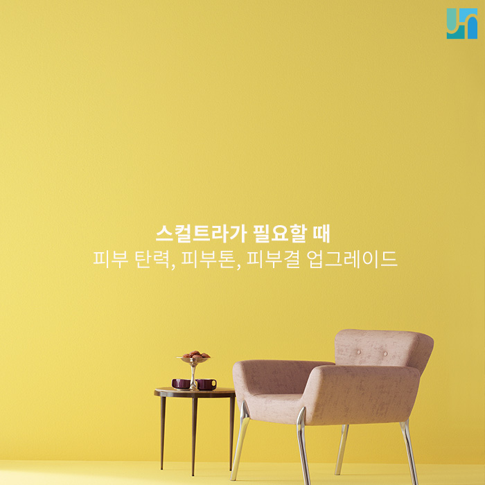 피부 탄력이 예전 같지 않다면 지금이 바로  스컬트라가 필요할 때 관련 이미지 1