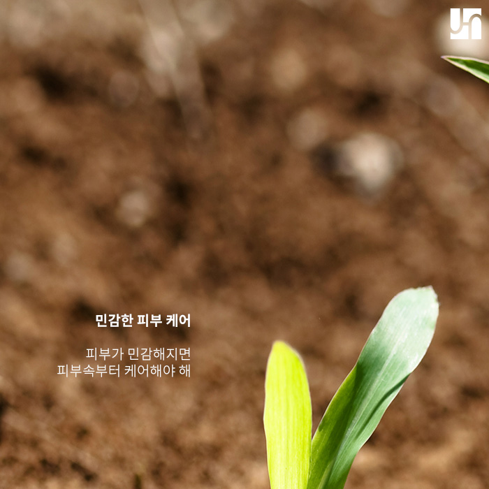 환절기 피부관리 민감할수록 중요해 관련 이미지 3
