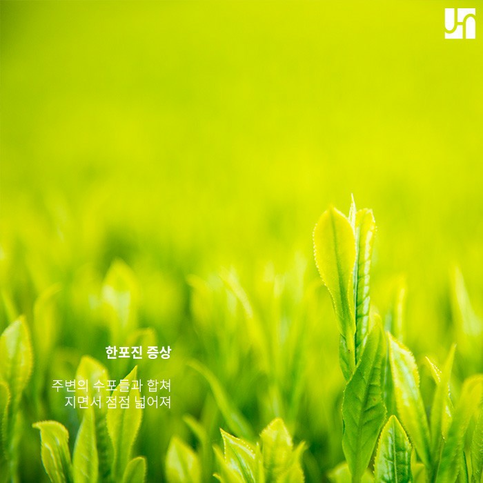 [방배동 피부과] 손가락 사이에 수포가 생겼다면? 관련 이미지 3