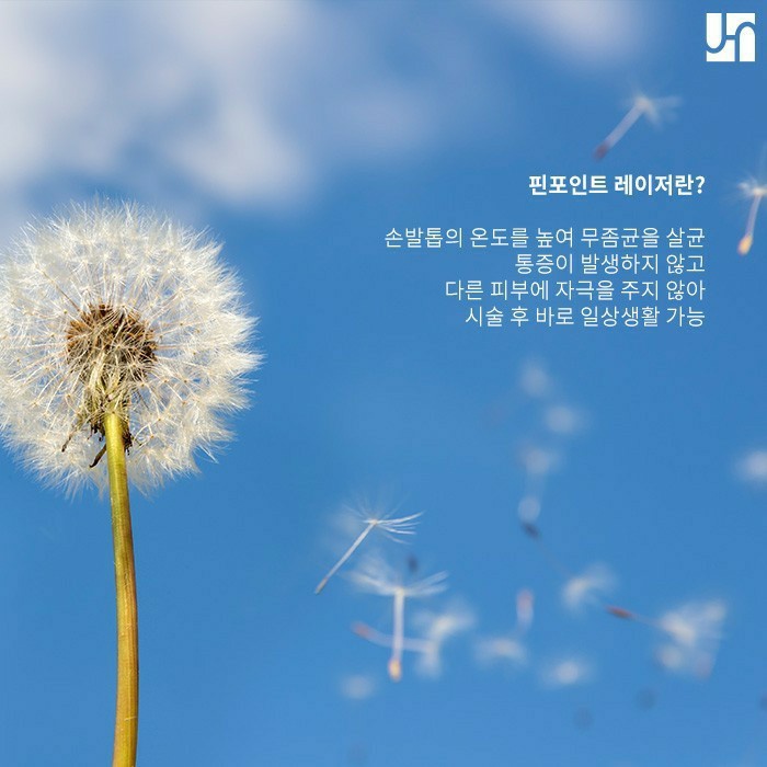 무좀 치료, 먹는 약이 소용없다면 핀 포인트 레이저 시술! 관련 이미지 4