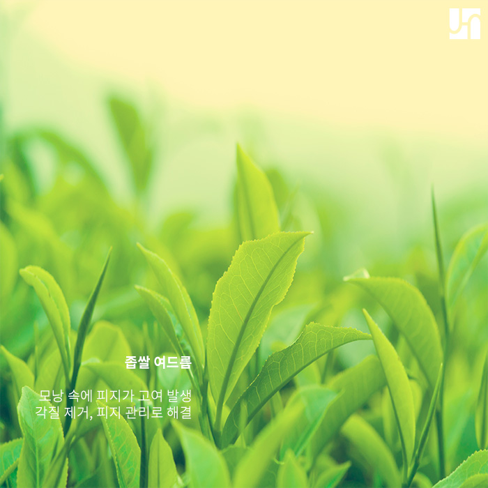 [방배동 피부과] 여드름 고민 해결하고 싶다면 관련 이미지 3