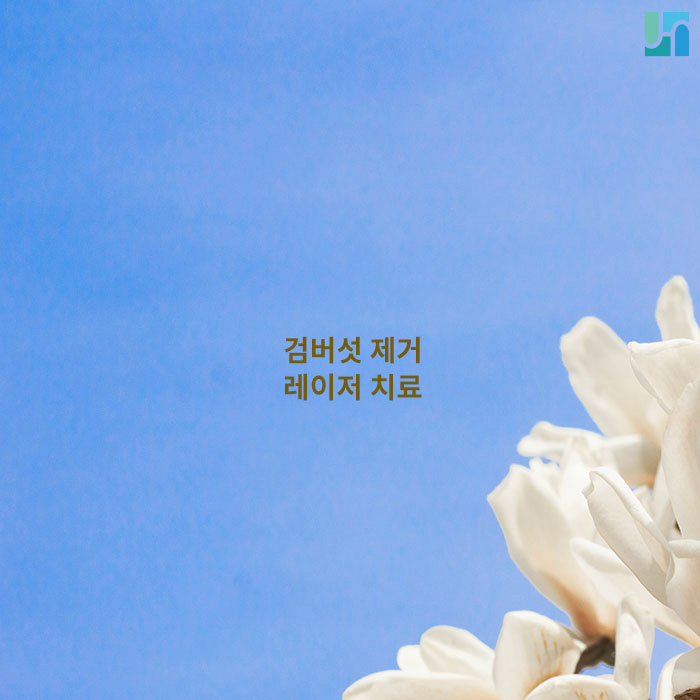 젊은 층도 안전할 수 없는 검버섯 제거 레이저 치료 :: 내방동전혜주피부과 관련 이미지 1